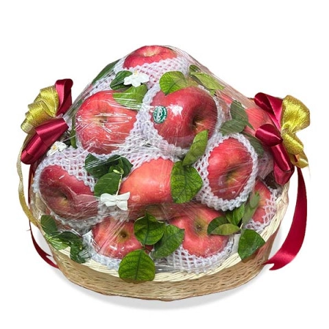 Nourishing Fruit - Pekalongan