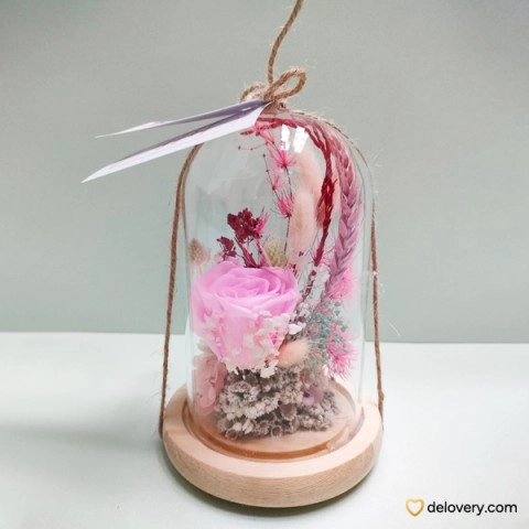 Rosé Dream Capsule