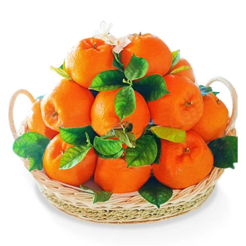 Wholesome Fruit - Pekalongan