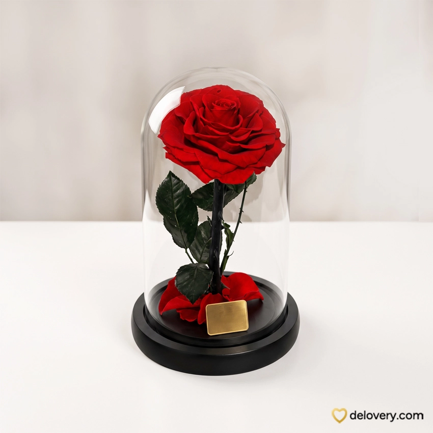 Timeless Eternal Passion
